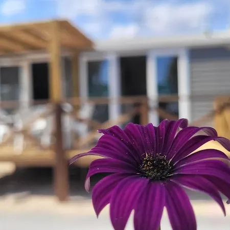 Camping Costa Blanca El Campello Zewnętrze zdjęcie