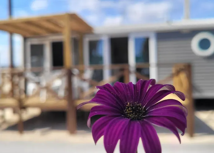 Camping Costa Blanca